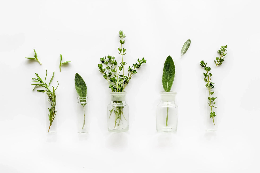 Plant Medicine 101: Finding The Method That's Right For You
