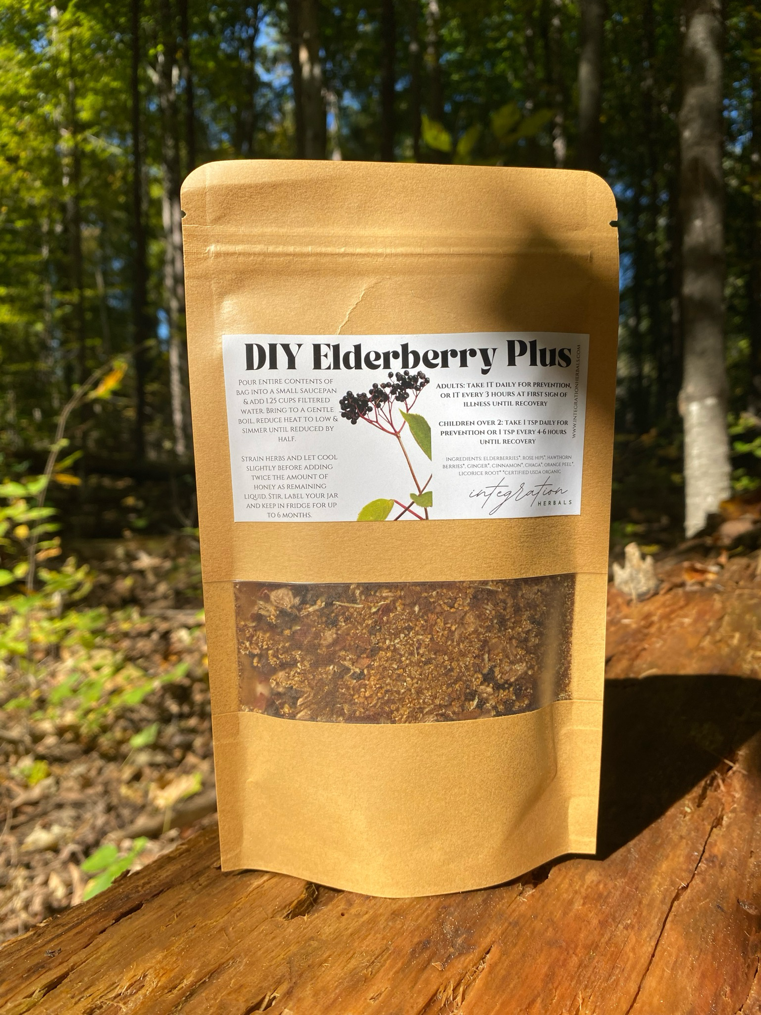DIY Elderberry Plus