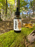 Ginger Tincture, 2oz