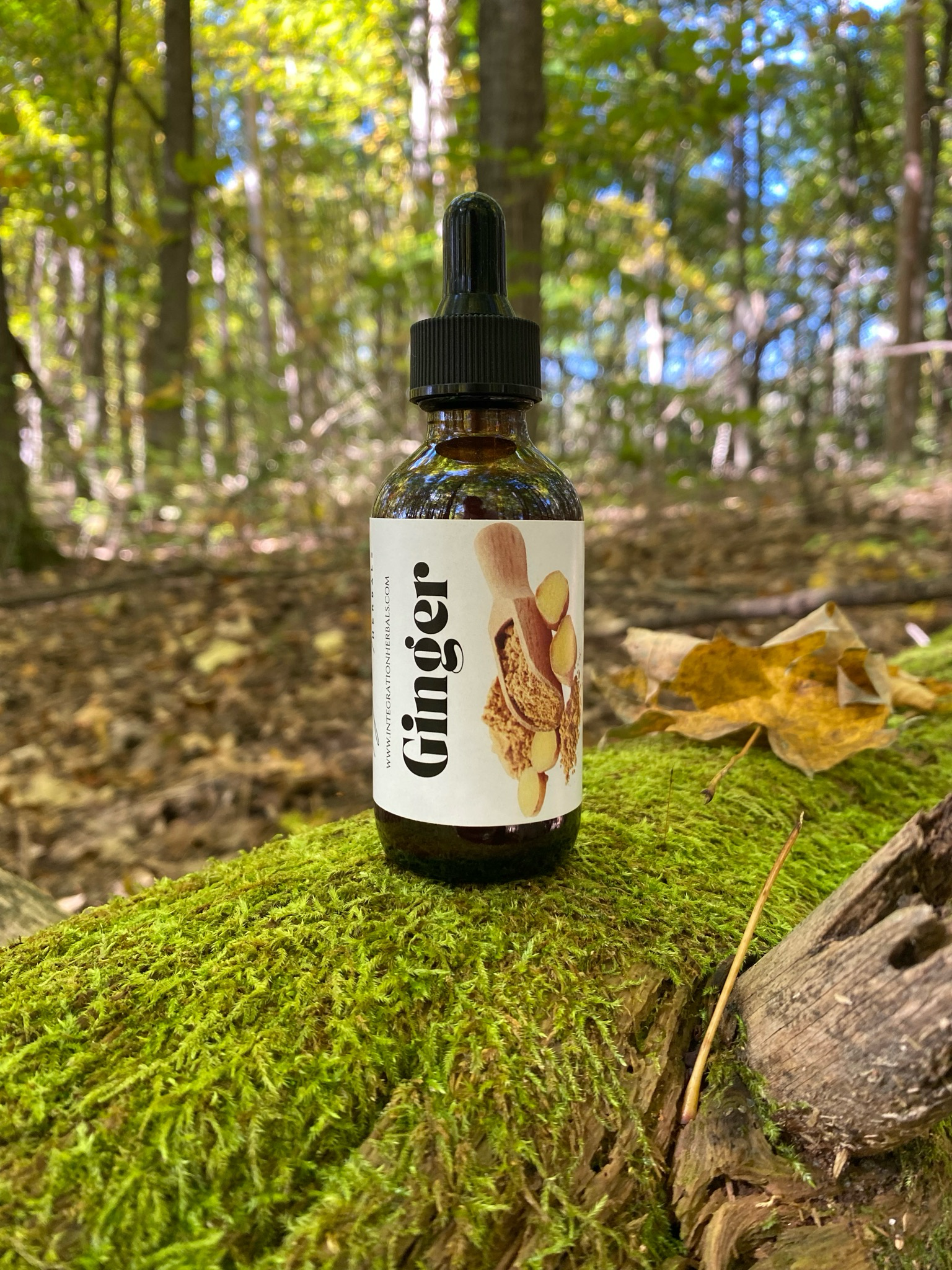 Ginger Tincture, 2oz