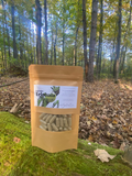 Triphala Capsules
