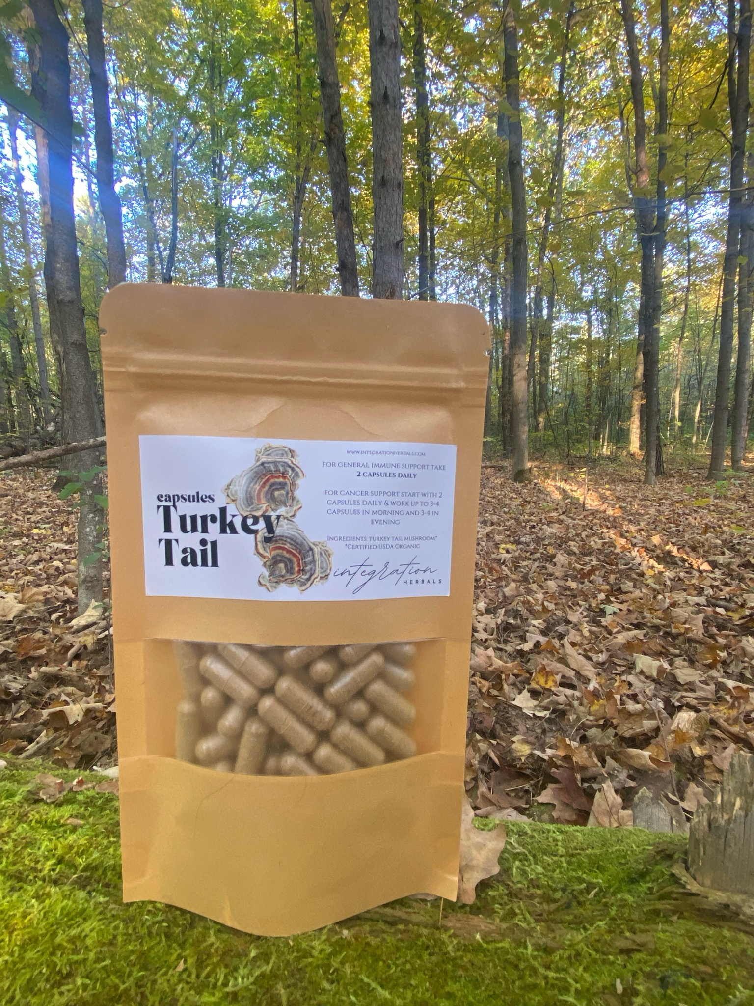 Turkey Tail Mushroom Capsules