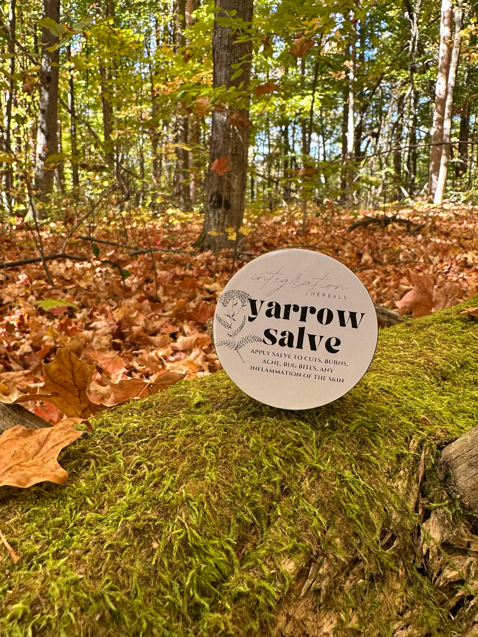 Yarrow Salve