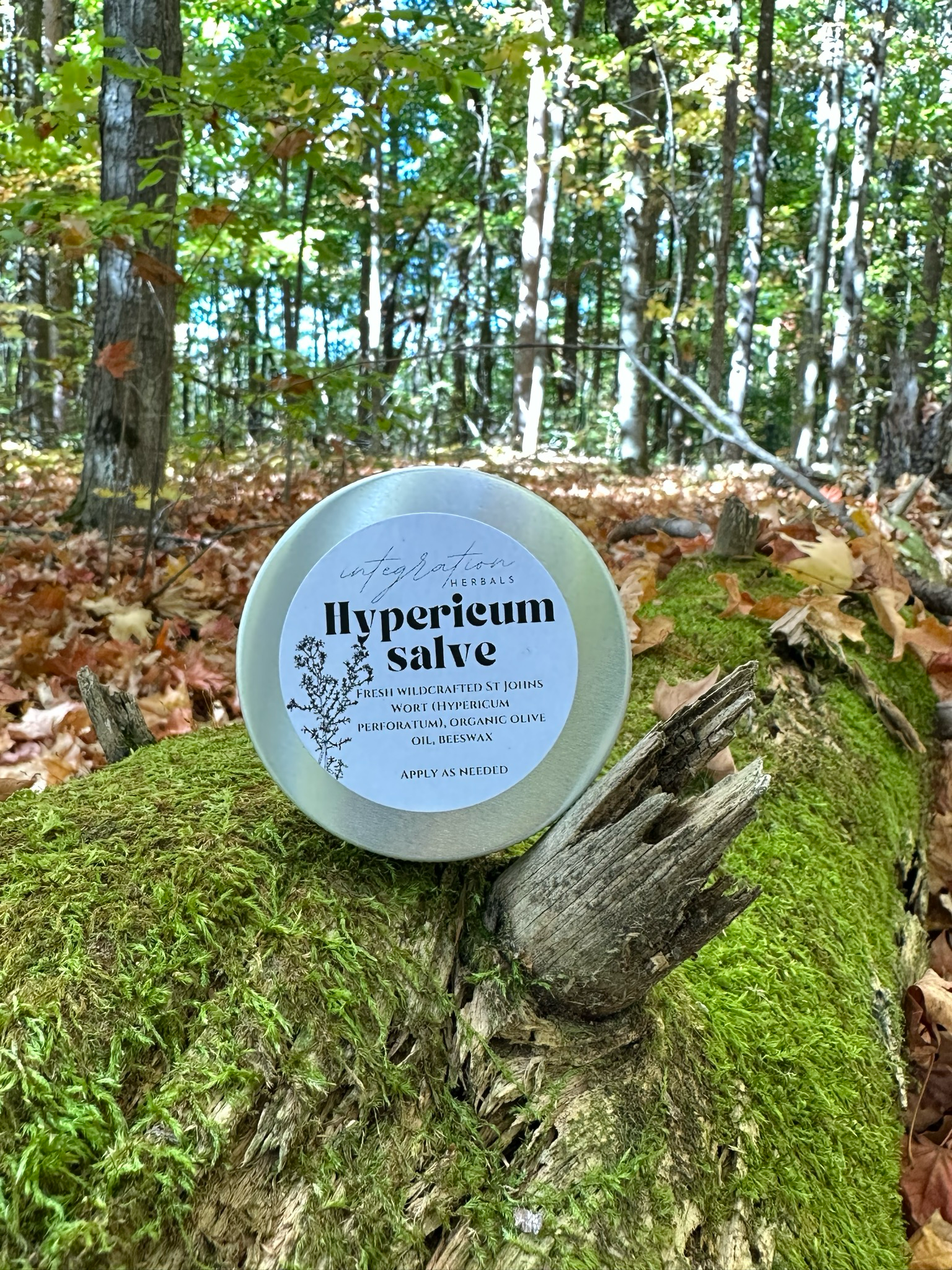 St Johns Wort {Hypericum} Salve, 2oz