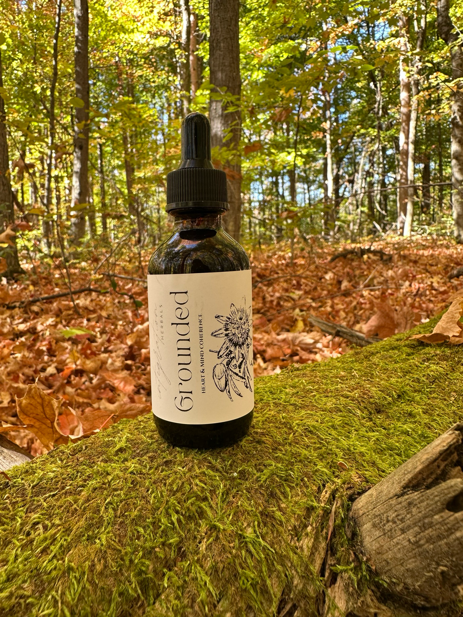 Grounded Tincture, 2oz