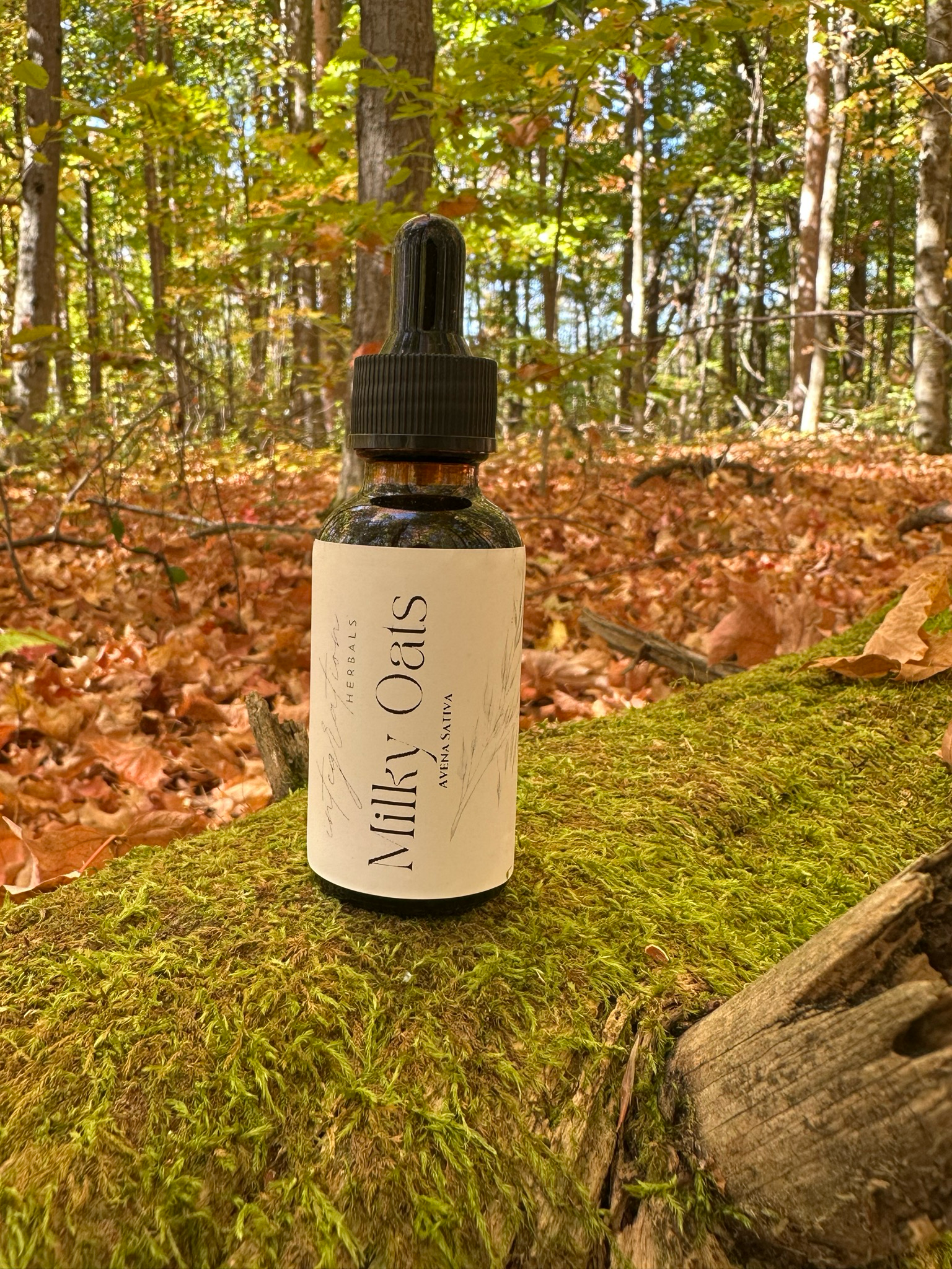 Fresh Milky Oats Tincture, 1 ounce