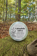 Calendula Salve, 2oz